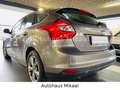 Ford Focus Lim. Titanium Bruin - thumbnail 14