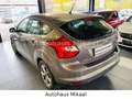 Ford Focus Lim. Titanium Brun - thumbnail 13