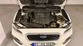 Subaru Levorg 1.6GT Sport AHK viele neu Teile Weiß - thumbnail 10