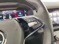 Skoda Kodiaq 2.0 TDI EVO SCR DSG Style Grigio - thumbnail 13