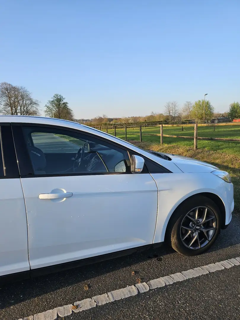Ford Focus 1.0 EcoBoost Start-Stopp-System SYNC Edition - 2