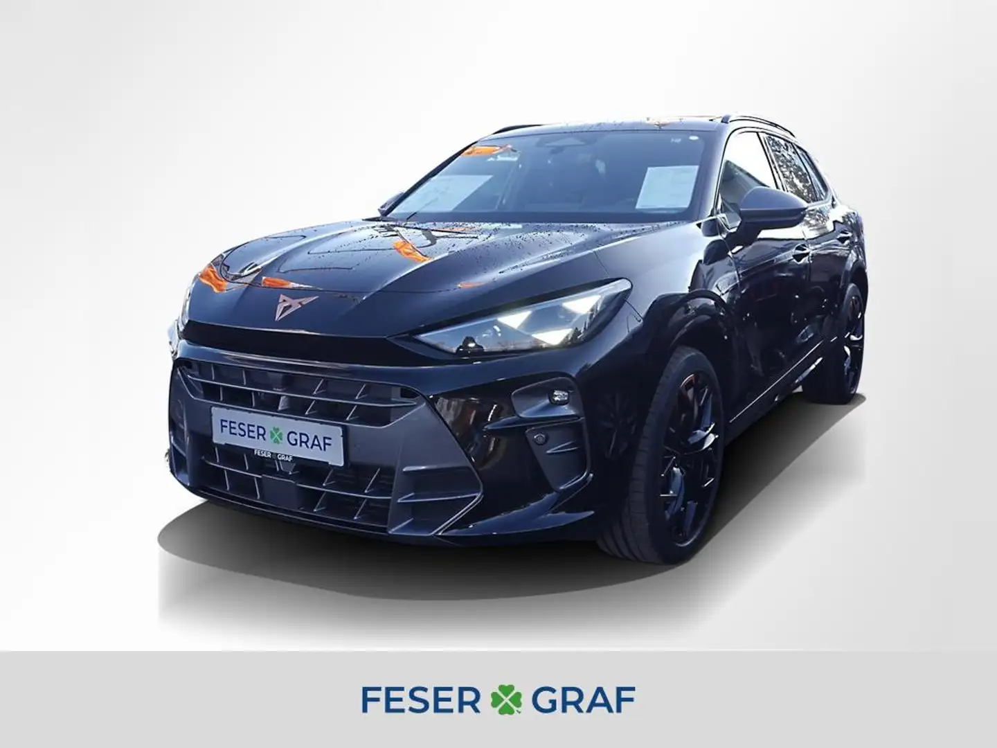 CUPRA Terramar 2.0 TSI VZ 4D DSG Matrix Navi Pano RüKa Schwarz - 1