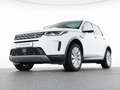 Land Rover Discovery Sport D200 AWD SE 19"+AHK+PANO+MEMORY Weiß - thumbnail 7