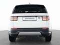 Land Rover Discovery Sport D200 AWD SE 19"+AHK+PANO+MEMORY Weiß - thumbnail 14