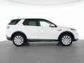 Land Rover Discovery Sport D200 AWD SE 19"+AHK+PANO+MEMORY Weiß - thumbnail 12