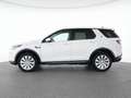 Land Rover Discovery Sport D200 AWD SE 19"+AHK+PANO+MEMORY Weiß - thumbnail 11