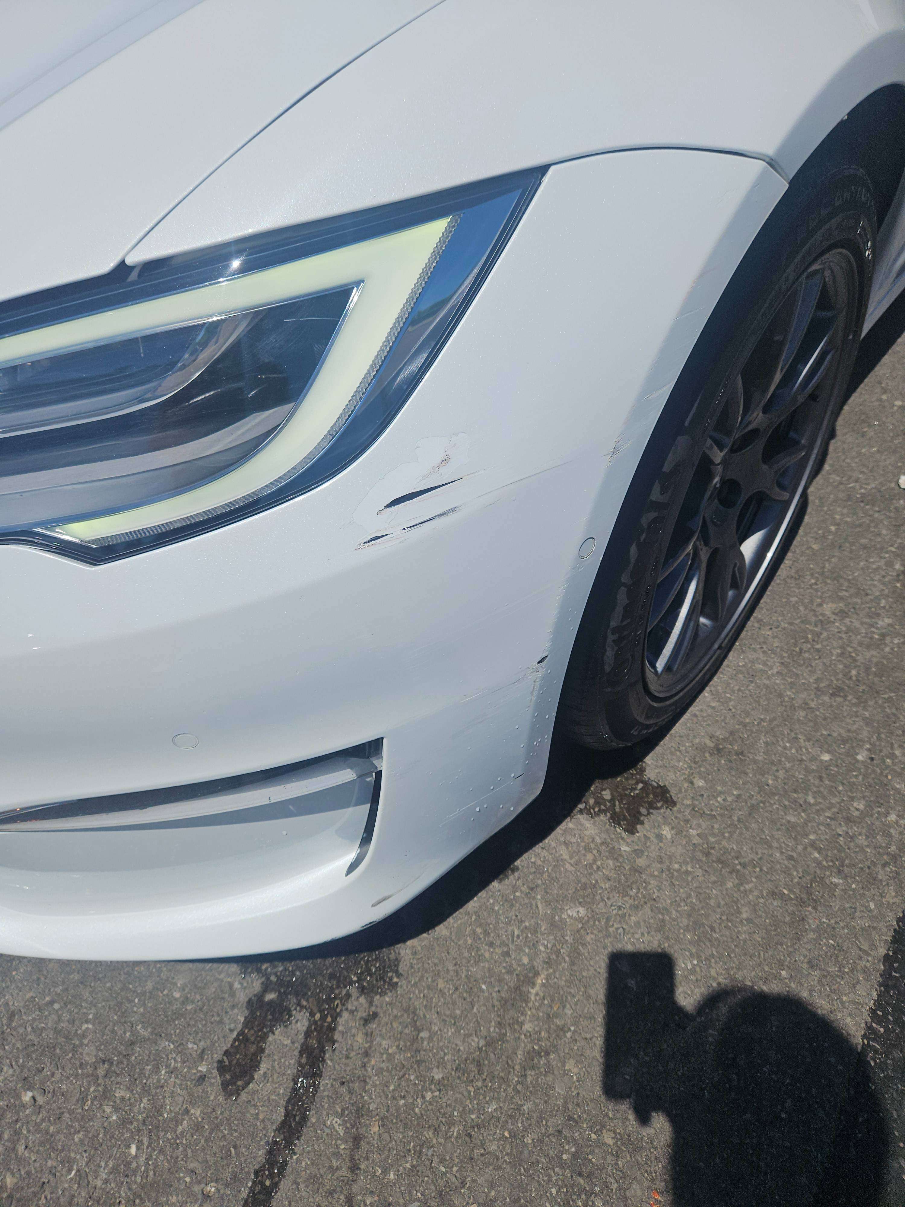 2021 Tesla Model S Long Range alt 5