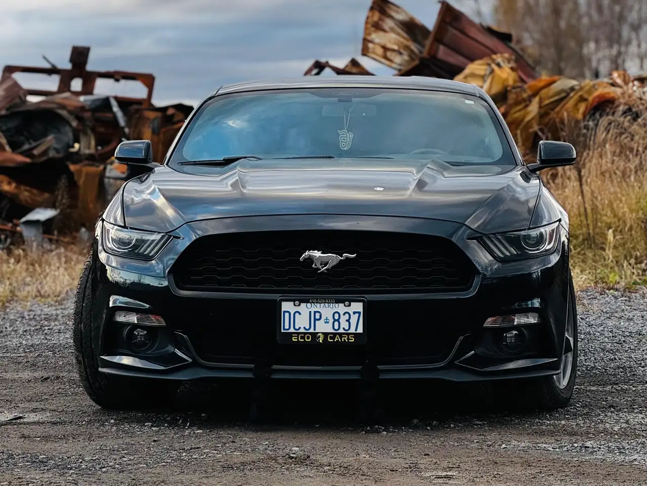 Ford Mustang fotografie Ford Mustang