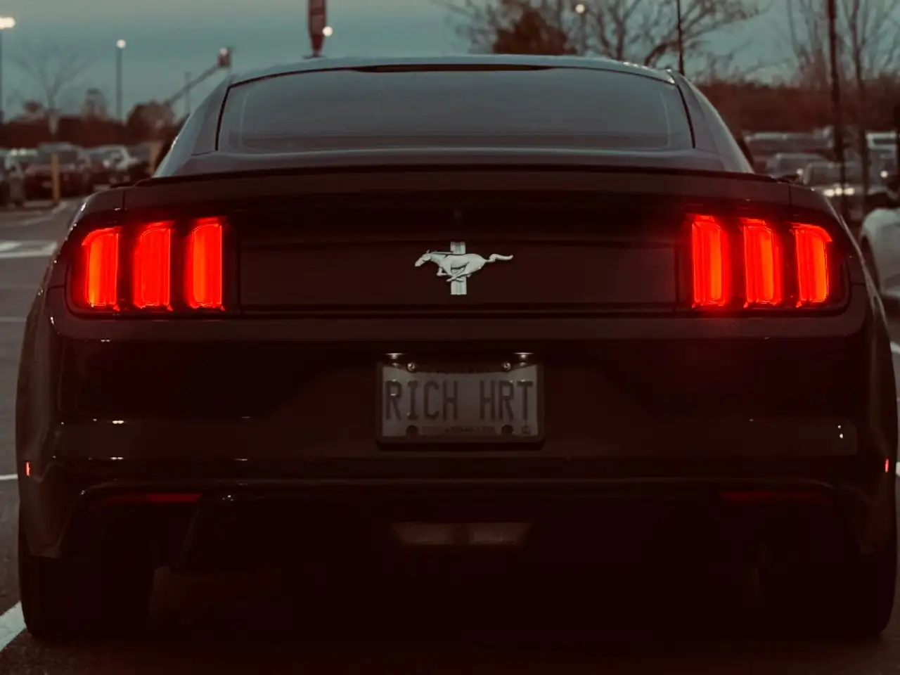 Ford Mustang fotografie Ford Mustang
