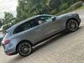 Porsche Cayenne 3.0 TDI 320 Ps Bi-Xenon Leder Navi 22 Zoll Panoram Gri - thumbnail 11