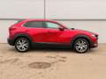 Mazda CX-30 e-Skyactive G140 AT Exclusive-Line Rot - thumbnail 4