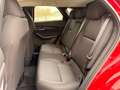 Mazda CX-30 e-Skyactive G140 AT Exclusive-Line Rot - thumbnail 9
