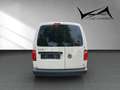 Volkswagen Caddy Nfz Maxi Kasten BMT Kühlfahrzeug Blanc - thumbnail 4