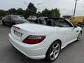 Mercedes-Benz SLK 250 SLK 250 d A Blanc - thumbnail 11