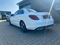 Mercedes-Benz C 220 d Avantgarde PAN-DACH Blanc - thumbnail 6