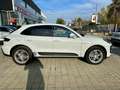 Porsche Macan Macan I 2022 2.0 265cv pdk Blanc - thumbnail 2