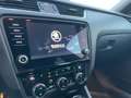 Skoda Octavia RS 4x4 Grau - thumbnail 15