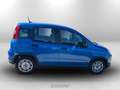 Fiat Panda 1.0 firefly hybrid s&s 70cv 5p.ti Argent - thumbnail 7