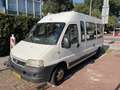 Fiat Ducato Ducato Campervan Blanc - thumbnail 1