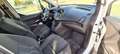 Ford Tourneo Connect Bianco - thumbnail 9