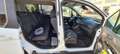 Ford Tourneo Connect Bianco - thumbnail 10