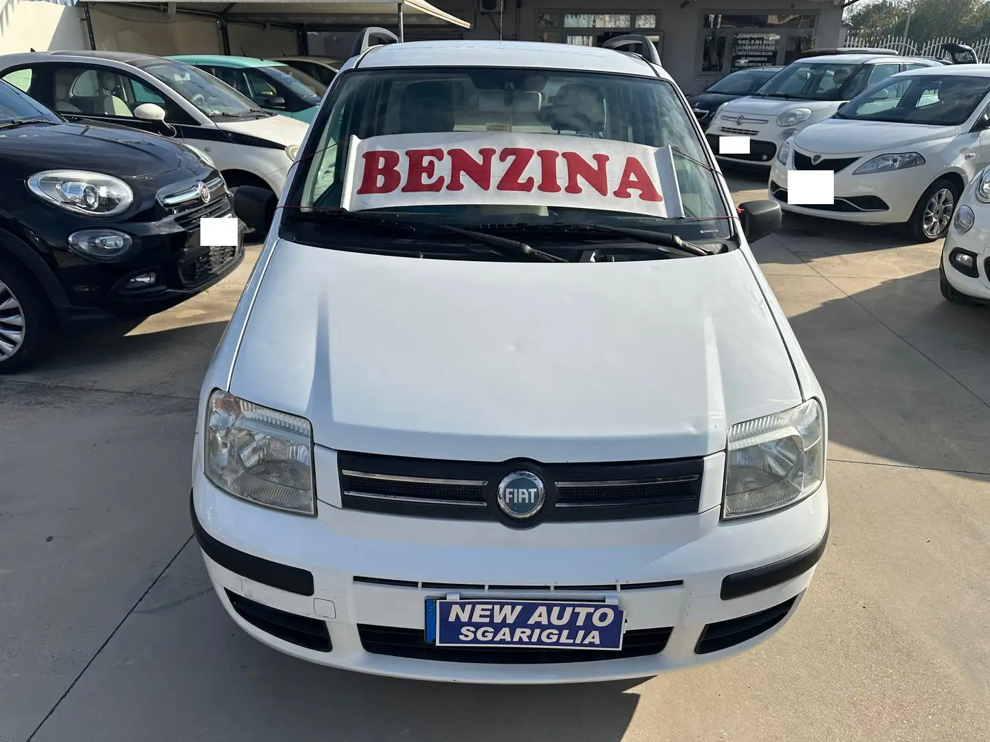 Fiat Panda 1.2 CAMBIO AUTOMATICO Bianco - 2