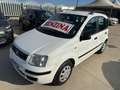Fiat Panda 1.2 CAMBIO AUTOMATICO Bianco - thumbnail 3