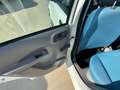 Fiat Panda 1.2 CAMBIO AUTOMATICO Bianco - thumbnail 11
