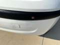 Fiat Panda 1.2 CAMBIO AUTOMATICO Bianco - thumbnail 7