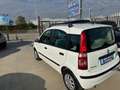 Fiat Panda 1.2 CAMBIO AUTOMATICO Bianco - thumbnail 4