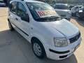 Fiat Panda 1.2 CAMBIO AUTOMATICO Bianco - thumbnail 1
