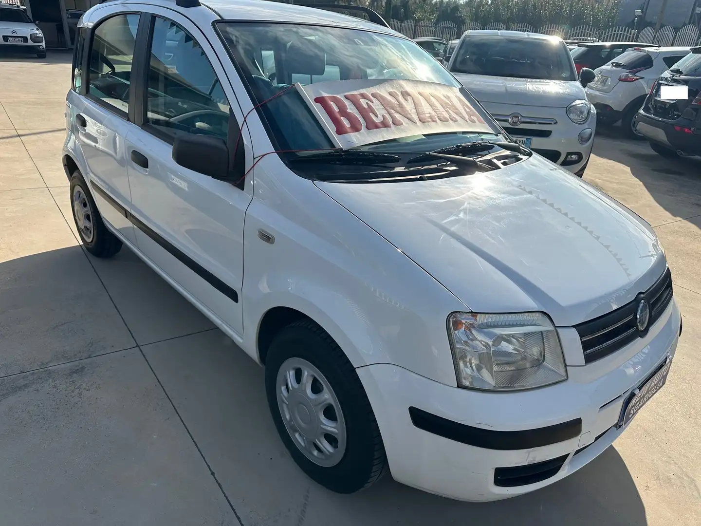Fiat Panda 1.2 CAMBIO AUTOMATICO Bianco - 1
