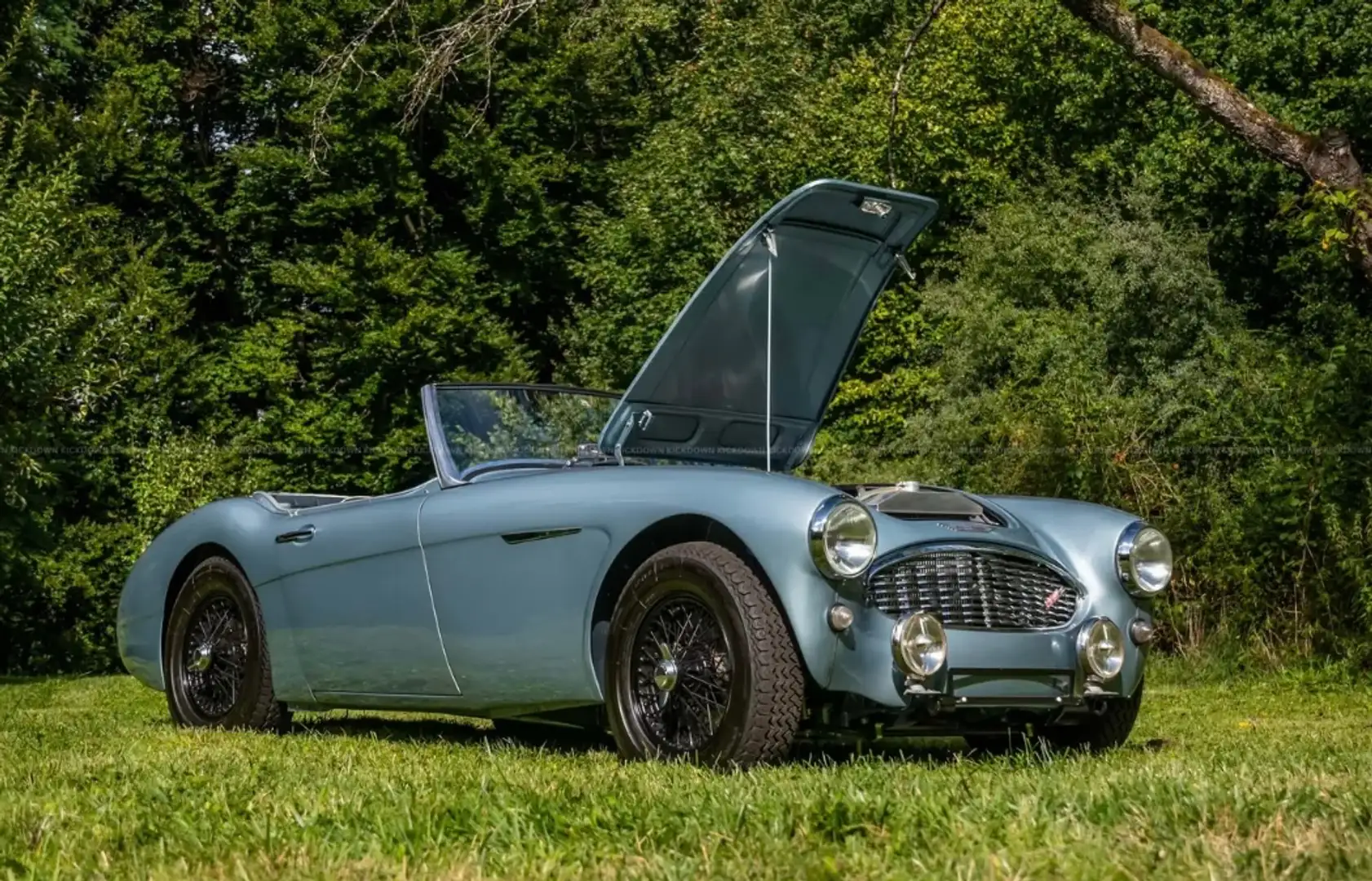 Austin-Healey 3000 Mark 1 BT7 - 2