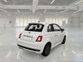 Fiat 500 1.0 70 CV IBRIDO CONNECT 3 PORTE BERLINA - thumbnail 4