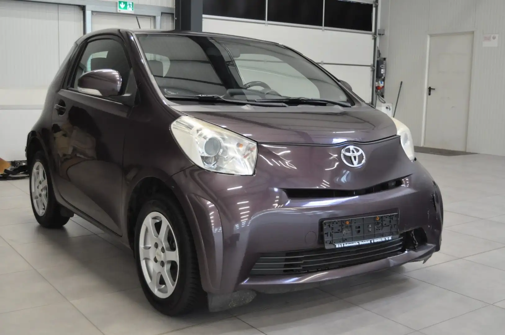 Toyota iQ iQ Basis Violett - 2