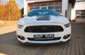 Ford Mustang BSP1 Edition/Kompressor/Brembo/3.JGarantie Blanc - thumbnail 2