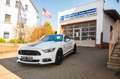 Ford Mustang BSP1 Edition/Kompressor/Brembo/3.JGarantie Alb - thumbnail 6