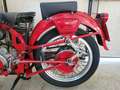 Moto Guzzi Airone 250 Sport Rojo - thumbnail 4