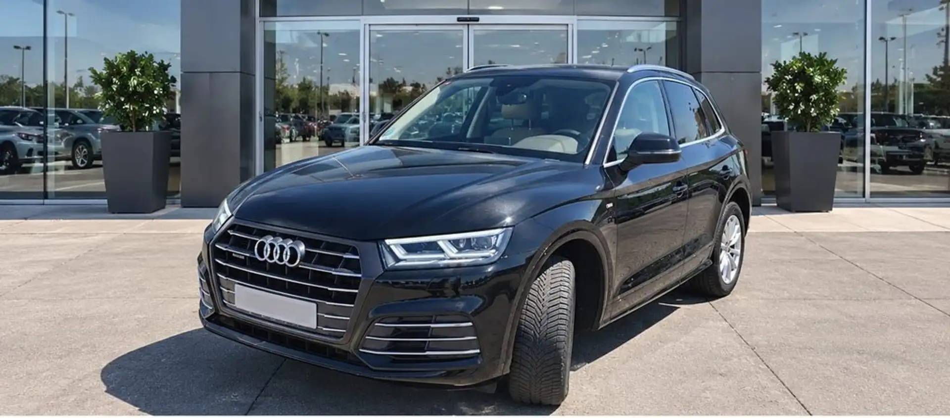 Audi QUATTRO Competition 55 TFSI E S tronic - 2