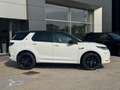 Land Rover Discovery Sport Discovery Sport 2.0 D163 Dynamic SE | Approved Bianco - thumbnail 6