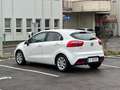 Kia Rio 1,2 CVVT Cool Limousine Weiß - thumbnail 7