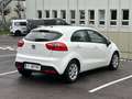 Kia Rio 1,2 CVVT Cool Limousine Weiß - thumbnail 6
