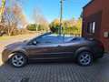 Ford Focus CC 1.6 - 100 Trend - thumbnail 1