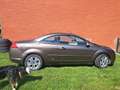 Ford Focus CC 1.6 - 100 Trend - thumbnail 3