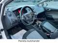 SEAT Ibiza Lim. Style Viva*KLIMATRONIC*TEMPOMAT*SHZ* Weiß - thumbnail 12
