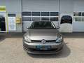 Volkswagen Golf Variant Trendline BMT 1,6 TDI Gris - thumbnail 2