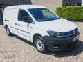 Volkswagen Caddy (PREZZO+IVA)2.0 TDI 102 CV Furgone Business MAXI - thumbnail 1