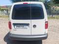 Volkswagen Caddy (PREZZO+IVA)2.0 TDI 102 CV Furgone Business MAXI - thumbnail 5
