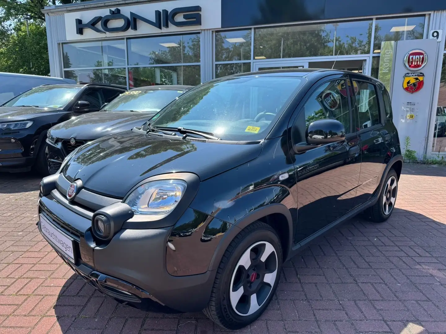 Fiat Panda Cross MY22 City Plus 1.0*Klima*Servo Noir - 1