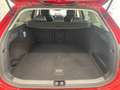 Volkswagen Passat Variant 1.5 eTSI BUSINESS AHK LED IQ.DRIVE KAMERA Rot - thumbnail 12
